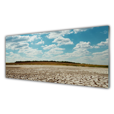Image sur verre Tableau Désert paysage gris vert