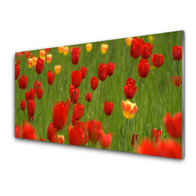 Image sur verre Tableau Tulipes nature brun jaune vert