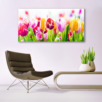 Image sur verre Tableau Tulipes floral rouge rose vert