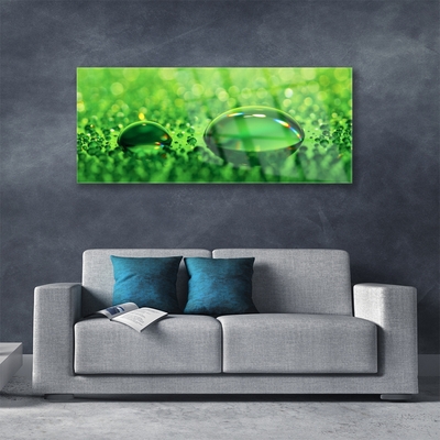 Image sur verre Tableau Gouttes d'eau art vert