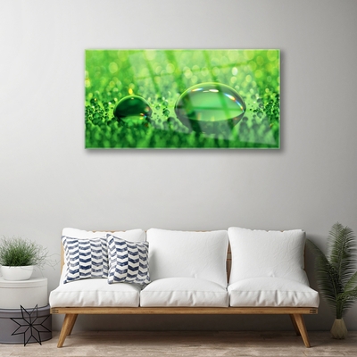 Image sur verre Tableau Gouttes d'eau art vert