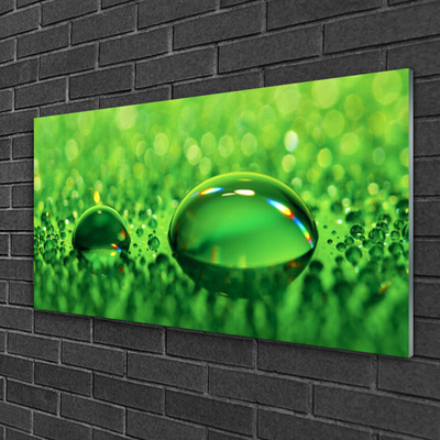 Image sur verre Tableau Gouttes d'eau art vert