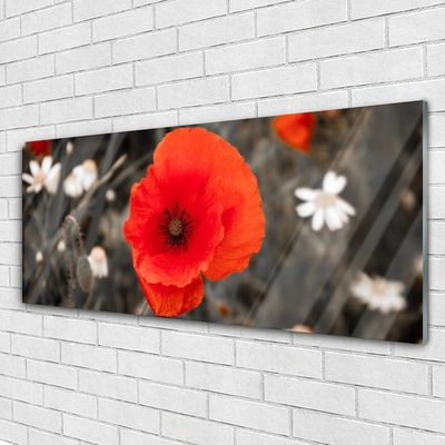 Image sur verre Tableau Fleur floral rouge gris