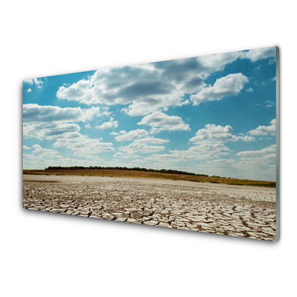 Image sur verre Tableau Désert paysage gris vert