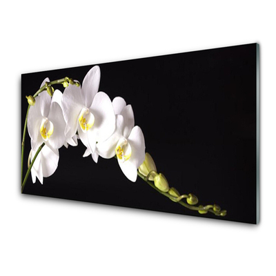 Image sur verre Tableau Fleurs floral blanc