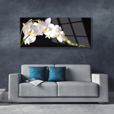 Image sur verre Tableau Fleurs floral blanc