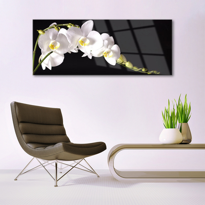 Image sur verre Tableau Fleurs floral blanc