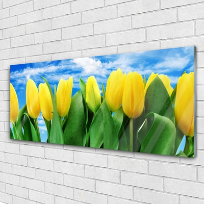 Image sur verre Tableau Tulipes floral vert