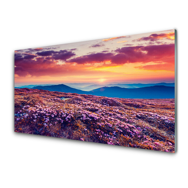 Image sur verre Tableau Prairie montagnes fleurs nature violet bleu orange