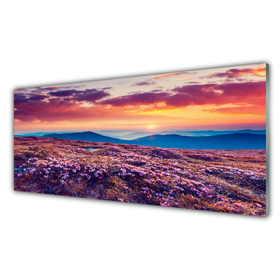 Image sur verre Tableau Prairie montagnes fleurs nature violet bleu orange