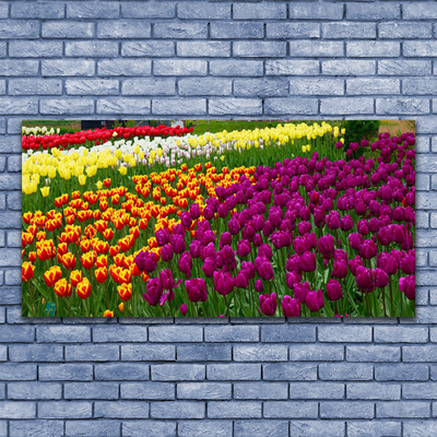 Image sur verre Tableau Tulipes floral jaune rouge vert blanc
