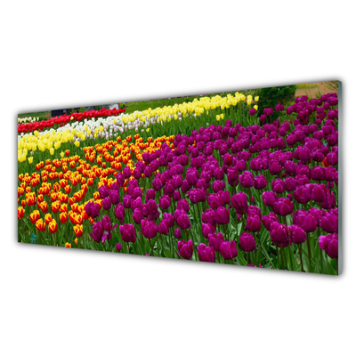 Image sur verre Tableau Tulipes floral jaune rouge vert blanc