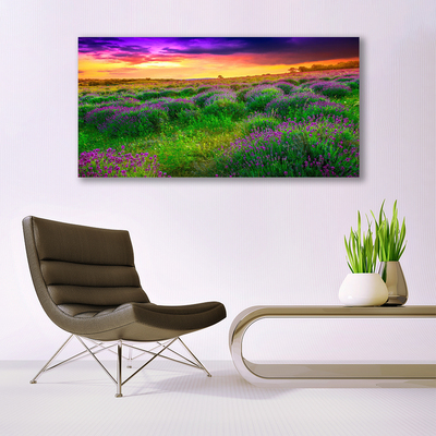 Image sur verre Tableau Prairie nature rose violet vert jaune