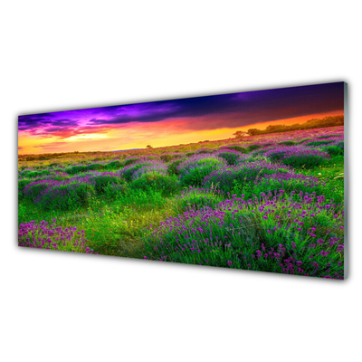 Image sur verre Tableau Prairie nature rose violet vert jaune