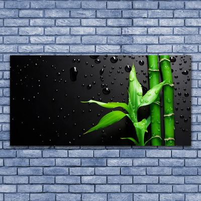 Image sur verre Tableau Bambou feuilles floral vert noir