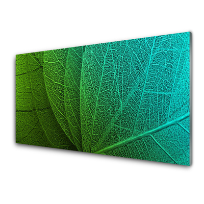 Image sur verre Tableau Feuilles abstraites floral vert