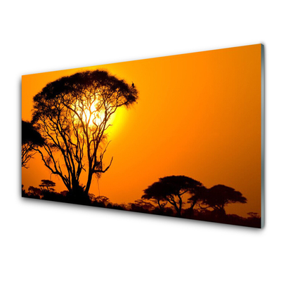 Image sur verre Tableau Arbres soleil nature noir jaune