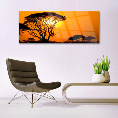 Image sur verre Tableau Arbres soleil nature noir jaune