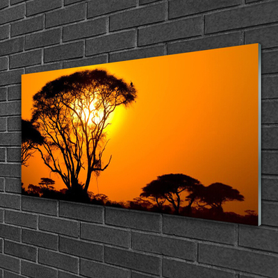 Image sur verre Tableau Arbres soleil nature noir jaune