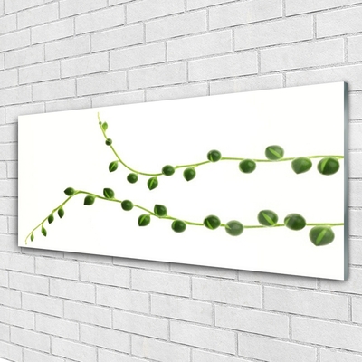Image sur verre Tableau Plante ornementale floral vert blanc