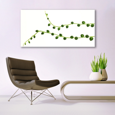 Image sur verre Tableau Plante ornementale floral vert blanc