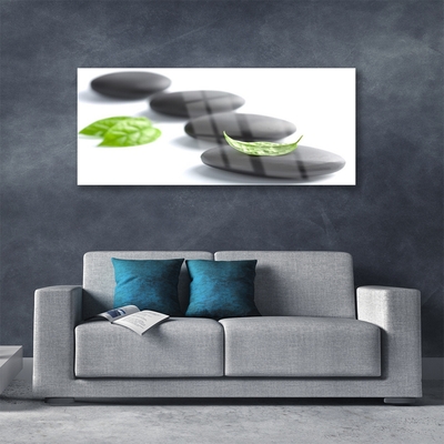 Image sur verre Tableau Pierres art noir vert blanc