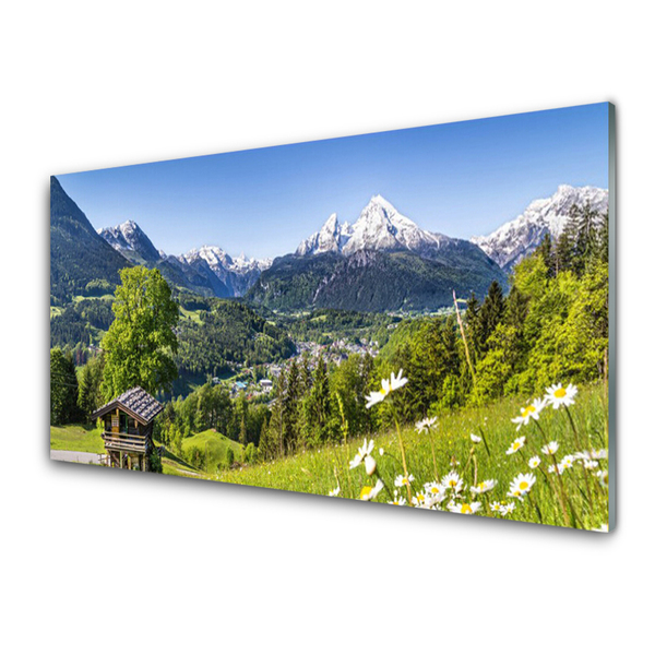Image sur verre Tableau Montagnes champs nature vert gris blanc