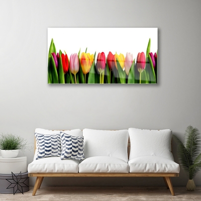Image sur verre Tableau Tulipes floral rouge rose jaune vert
