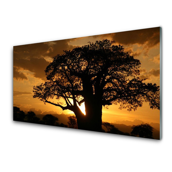 Image sur verre Tableau Arbre nature brun jaune