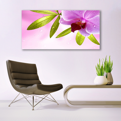 Image sur verre Tableau Feuilles fleurs floral rose vert
