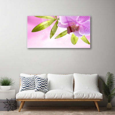Image sur verre Tableau Feuilles fleurs floral rose vert