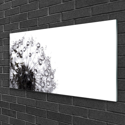 Image sur verre Tableau Pissenlit floral gris blanc