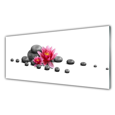 Image sur verre Tableau Fleurs pierres art rouge gris blanc