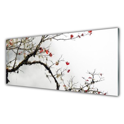 Image sur verre Tableau Branche nature brun orange