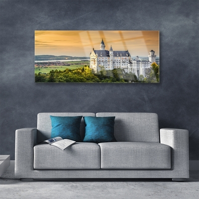 Image sur verre Tableau Château paysage vert gris jaune