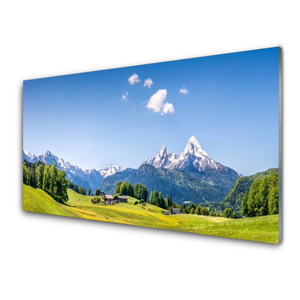 Image sur verre Tableau Champs arbres montagnes paysage vert gris blanc bleu