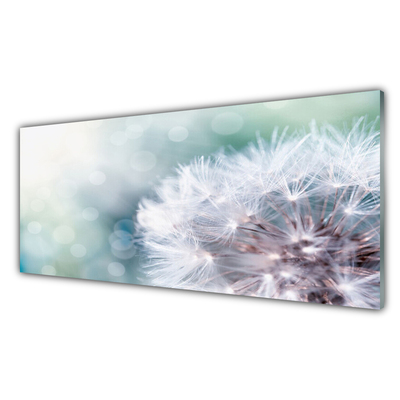 Image sur verre Tableau Pissenlit floral blanc bleu