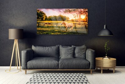 Image sur verre Tableau Cheval prairie animaux vert brun