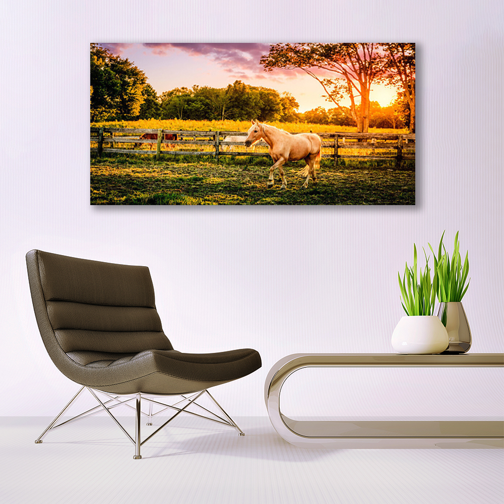 Tableau impression sur toile - 3 chevaux terre et azure – Chevaux Passion