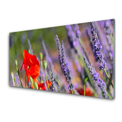 Image sur verre Tableau Fleurs floral rouge violet vert