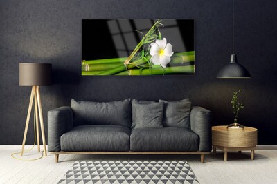 Image sur verre Tableau Bambou fleur floral blanc vert