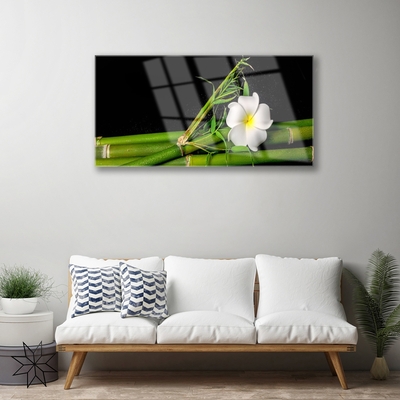 Image sur verre Tableau Bambou fleur floral blanc vert