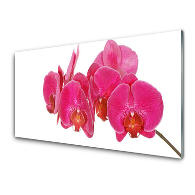 Image sur verre Tableau Fleurs floral rouge
