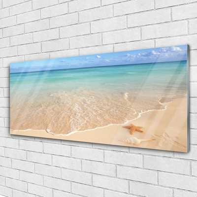 Image sur verre Tableau Mer plage étoile de mer paysage bleu brun