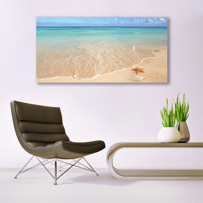 Image sur verre Tableau Mer plage étoile de mer paysage bleu brun