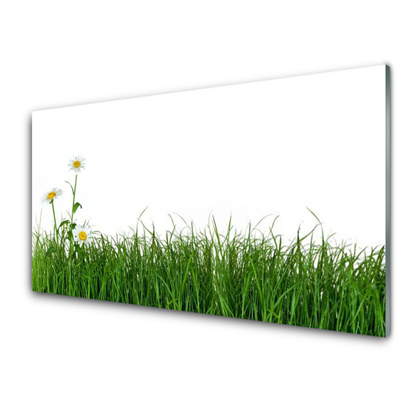 Image sur verre Tableau Herbe nature vert