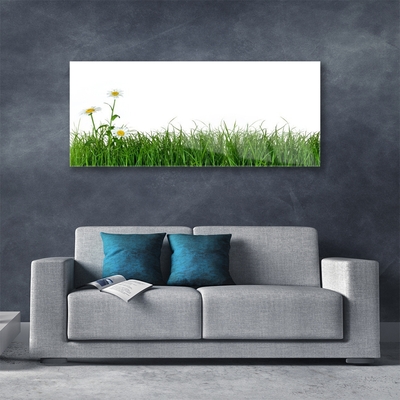 Image sur verre Tableau Herbe nature vert