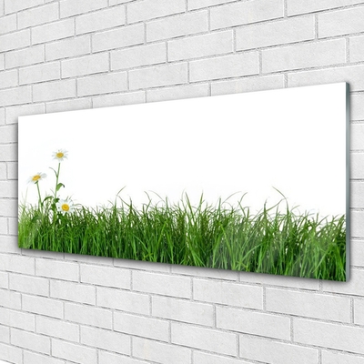 Image sur verre Tableau Herbe nature vert