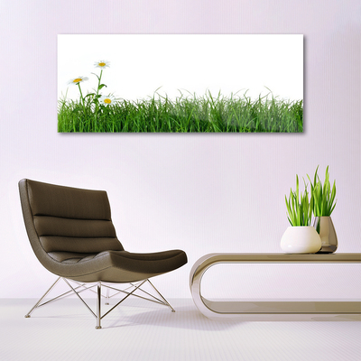 Image sur verre Tableau Herbe nature vert