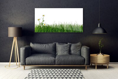 Image sur verre Tableau Herbe nature vert